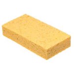 sponge