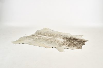 nguni skin black and white